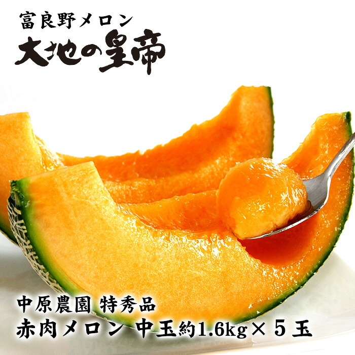 【送料無料】富良野メロン大地の皇帝 特秀品 中玉約1.6kg×5玉 北海道 お土産 おみやげ 化粧箱入り 贈答用 お中元|お土産通販北海道ギフトバザール