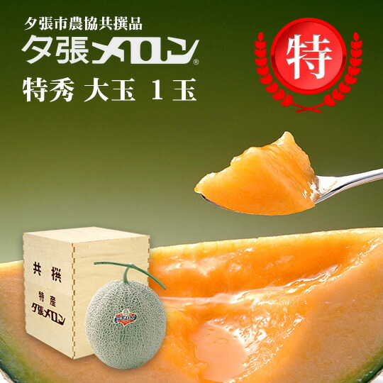 【早割り特価】夕張市農協直送 共撰品 夕張メロン特秀大玉(約1.6kg) 木箱詰 1玉 【送料無料】【産地直送】【代引不可】北海道 お土産 おみやげ お中元 贈答品 引出物 赤肉メロン お供え物 お盆 名物