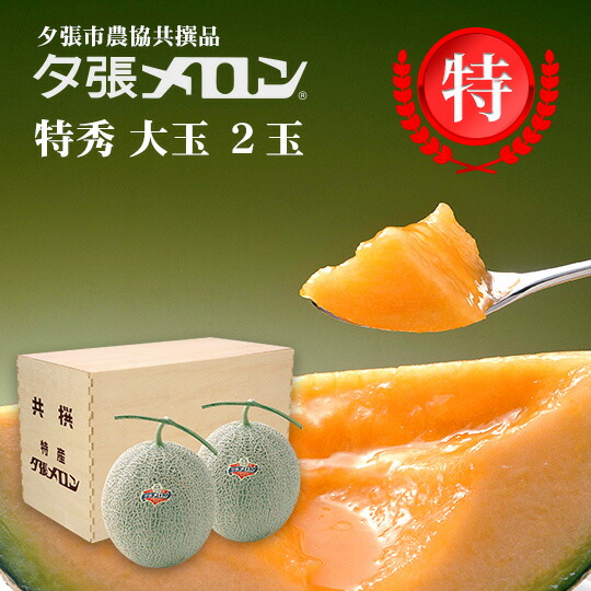 【早割り特価】夕張市農協直送 共撰品 夕張メロン特秀大玉(約1.6kg) 木箱詰 2玉 【送料無料】【産地直送】【代引不可】北海道 お土産 おみやげ お中元 贈答品 引出物 赤肉メロン お供え物 お盆 名物