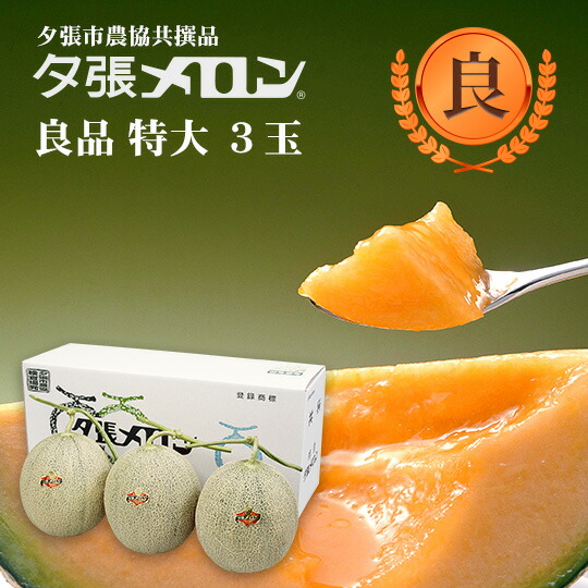 【早割り予約】夕張市農協直送 共撰品 夕張メロン良品特大(約2.0kg) 3玉 【送料無料】【産地直送】【代引不可】北海道 お土産 おみやげ お中元 贈答品 引出物 赤肉メロン お供え物 お盆 名物