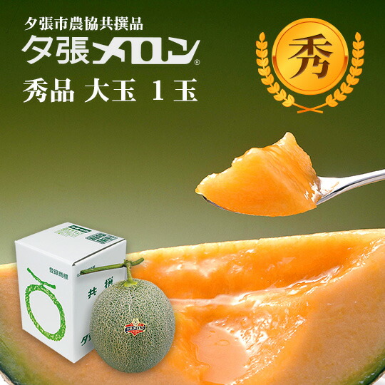 【早割り特価】夕張市農協直送 共撰品 夕張メロン秀品大玉(約1.6kg) 1玉【送料無料】【産地直送】【代引不可】 北海道 お土産 おみやげ お中元 贈答品 引出物 赤肉メロン お供え物 お盆 名物
