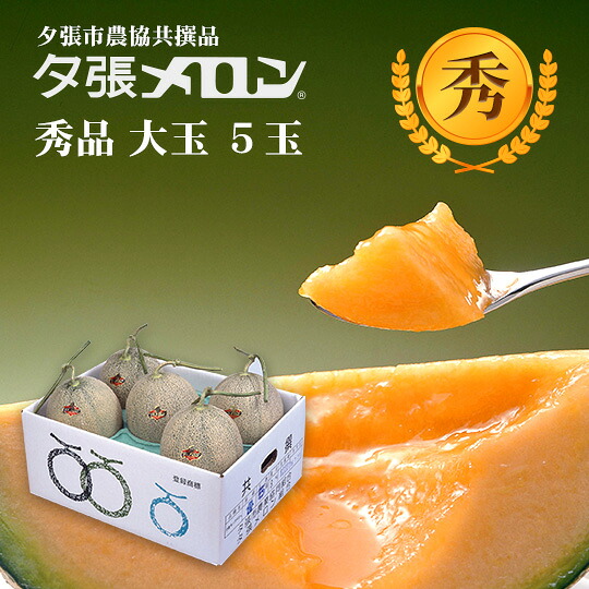 【早割り予約】夕張市農協直送 共撰品 夕張メロン秀品大玉(約1.6kg) 5玉1箱(合計約 8kg)【送料無料】【産地直送】【代引不可】 北海道 お土産 おみやげ お中元 贈答品 引出物 赤肉メロン お供え物 お盆 名物