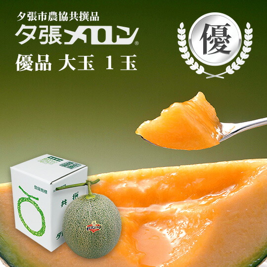 【早割り特価】夕張市農協直送 共撰品 夕張メロン優品大玉(約1.6kg) 1玉【送料無料】【産地直送】【代引不可】 北海道 お土産 おみやげ お中元 贈答品 引出物 赤肉メロン お供え物 お盆 名物