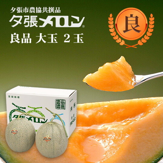 【早割り特価】夕張市農協直送 共撰品 夕張メロン良品大玉(約1.6kg) 2玉【送料無料】【産地直送】【代引不可】 北海道 お土産 おみやげ お中元 贈答品 引出物 赤肉メロン お供え物 お盆 名物