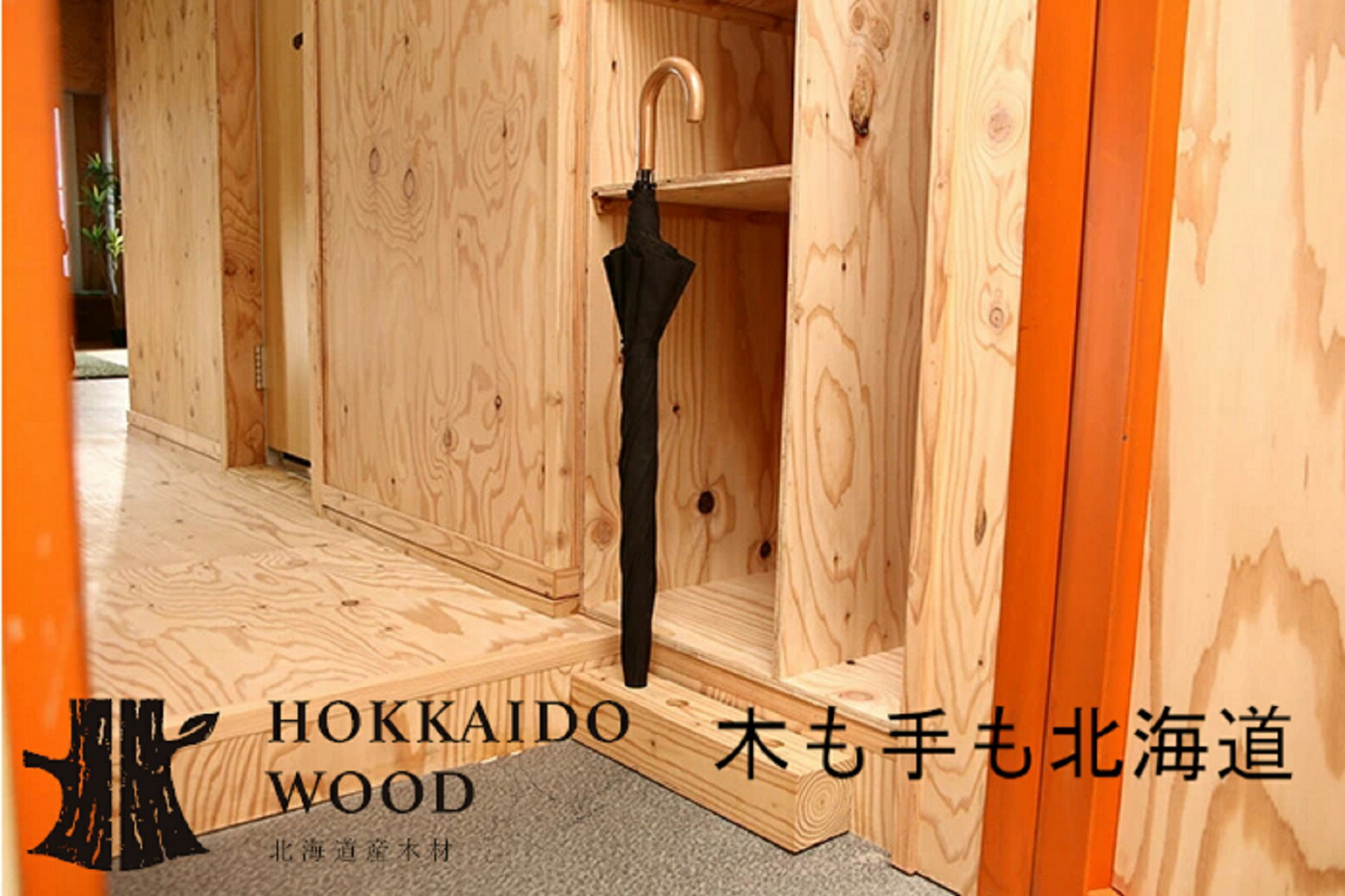 限定品】 北海道育ちの木材を使った宮大工特製 WOOD BOX 2種3個セット fucoa.cl