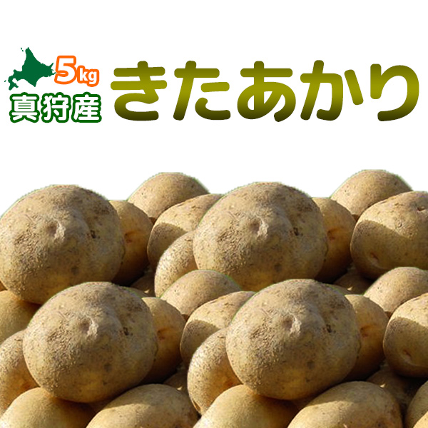 [2019秋収穫 キタアカリ 5kg] 新じゃがいも 北海道真狩産「きたあかり」北あかり ジャガイモ