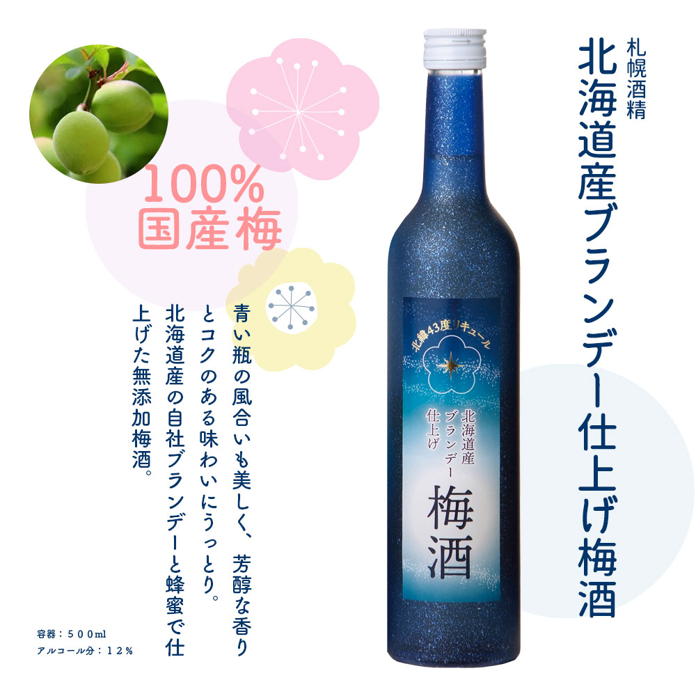 送料込 ギフト青箱 北海道のブランデー梅酒飲み比べ 札幌酒精池田町ブドウ ブドウ酒研究所 熨斗対応可 国産梅 セット お中元 ギフト 女性 挨拶 お礼 グルメ プレゼント 男性 お酒 お祝い 最大77 オフ 誕生日
