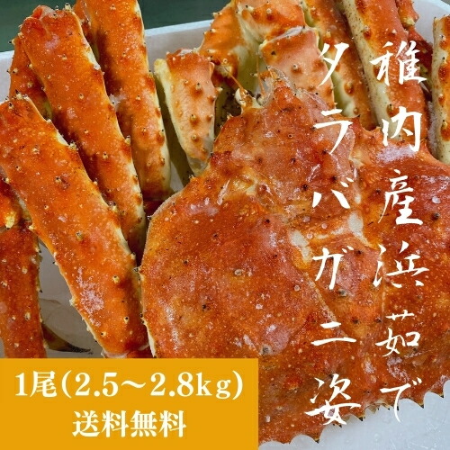 代引き不可 送料無料 柳浦食品 北海道 稚内産 高級 浜茹で タラバガニ姿 1尾 2 5 2 8kg 産地直送 冷凍便 お取り寄せ グルメ 応援 Ss2106 Theceramicstore Co Uk