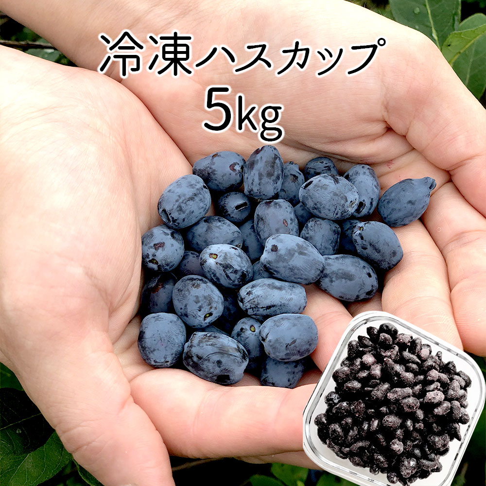 【送料込】北海道千歳産 冷凍ハスカップ ５Ｋｇ 冷凍フルーツ 業務用 製菓向け お菓子作り スーパーフード [SS2303]