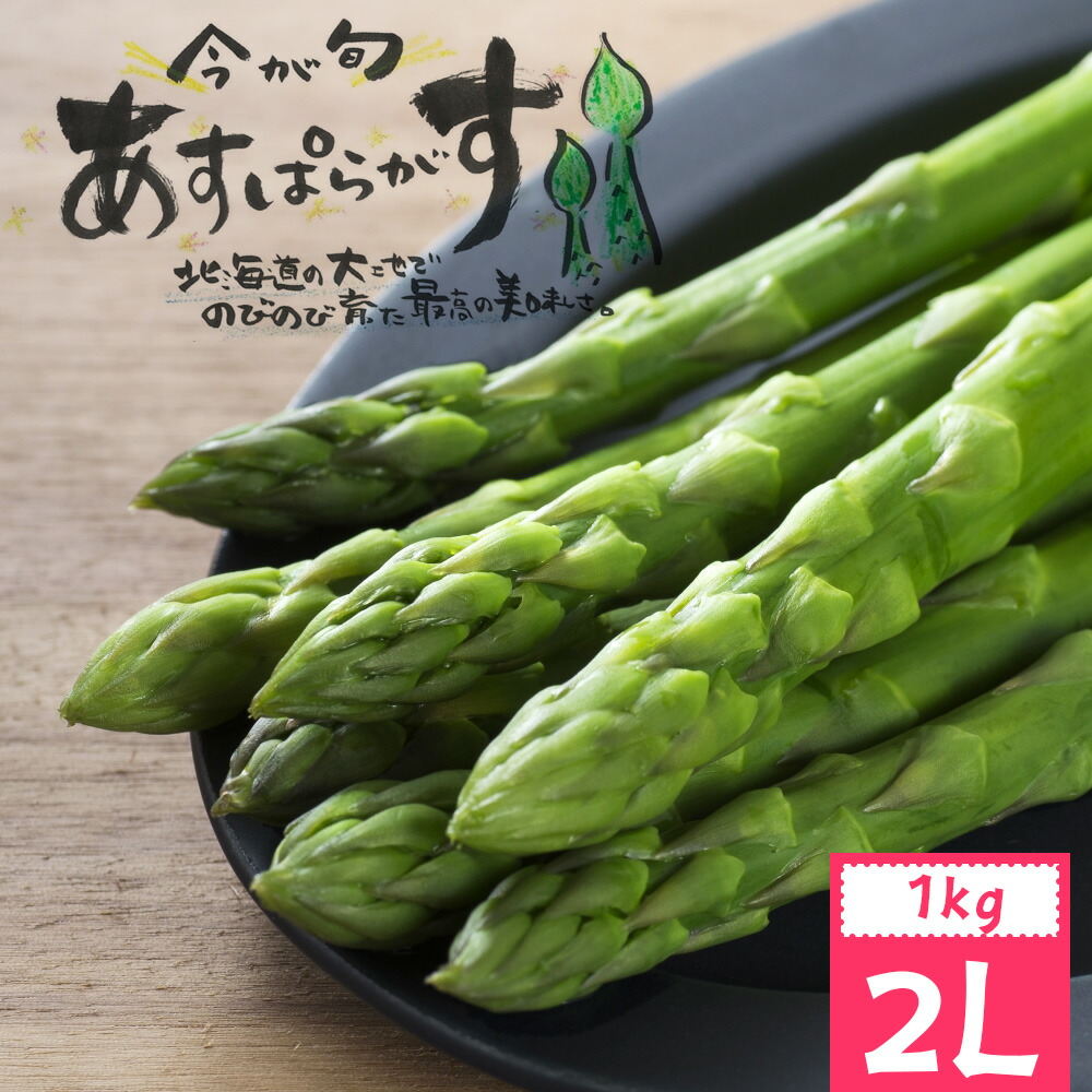 期間限定で特別価格 国産 たまねぎの皮パウダー 110ｇ ケルセチン 04 NICHIGA ニチガ