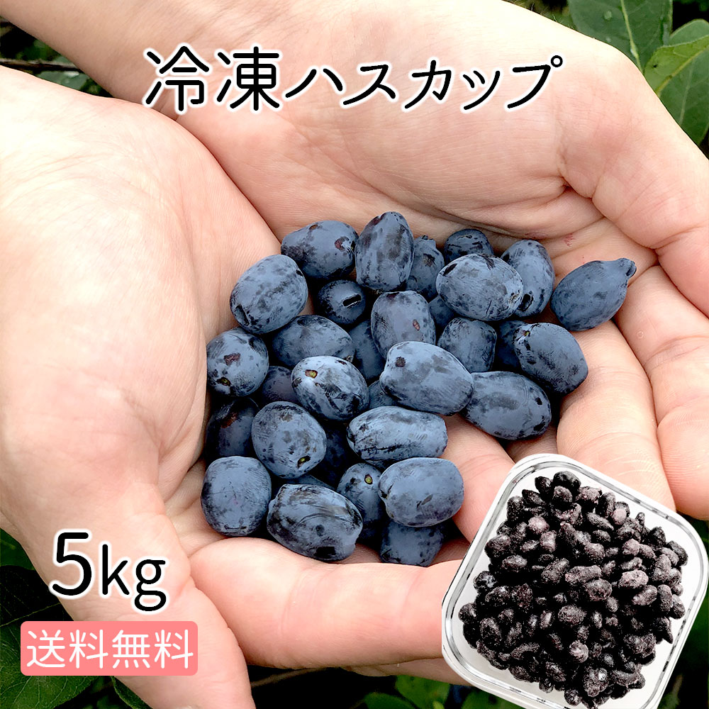 楽天市場 代引き不可 産直便 北海道千歳産 冷凍ハスカップ １ｋｇ 冷凍フルーツ 業務用 家庭向け 製菓向け お菓子作り スーパーフード Ss2106 北海道新発見ファクトリー