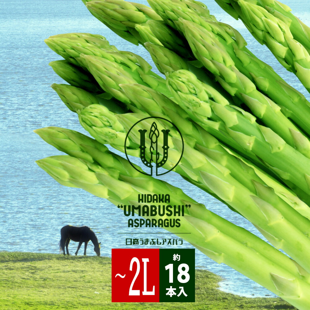 予約 22年3月中旬 ギフト 北海道産 春 うまぶしアスパラ 極太 2lサイズ 1kg 約18本前後 農園指定 美味しいグリーンアスパラガス 贈答用のし対応可 代引き不可
