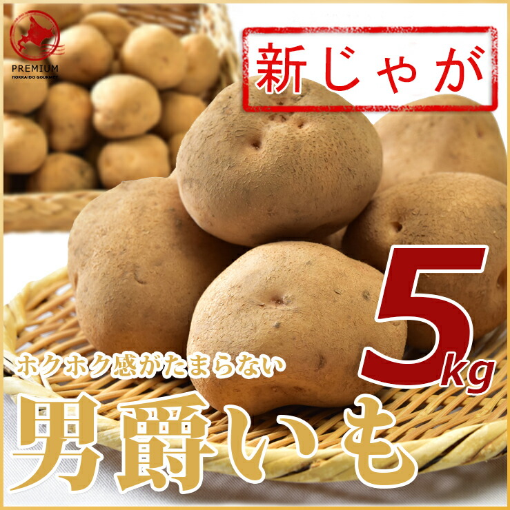 【北海道ニセコ産】新ジャガイモ「男爵」5kg LMサイズ正規品※送料無料【九州・沖縄を除く】※11月上旬より順次発送北海道 ニセコ町産 じゃがいも 送料無料 5kg じゃがいも 北海道 新じゃが 新ジャガ 男爵いも 男爵イモ 馬鈴薯 ギフト 業務用