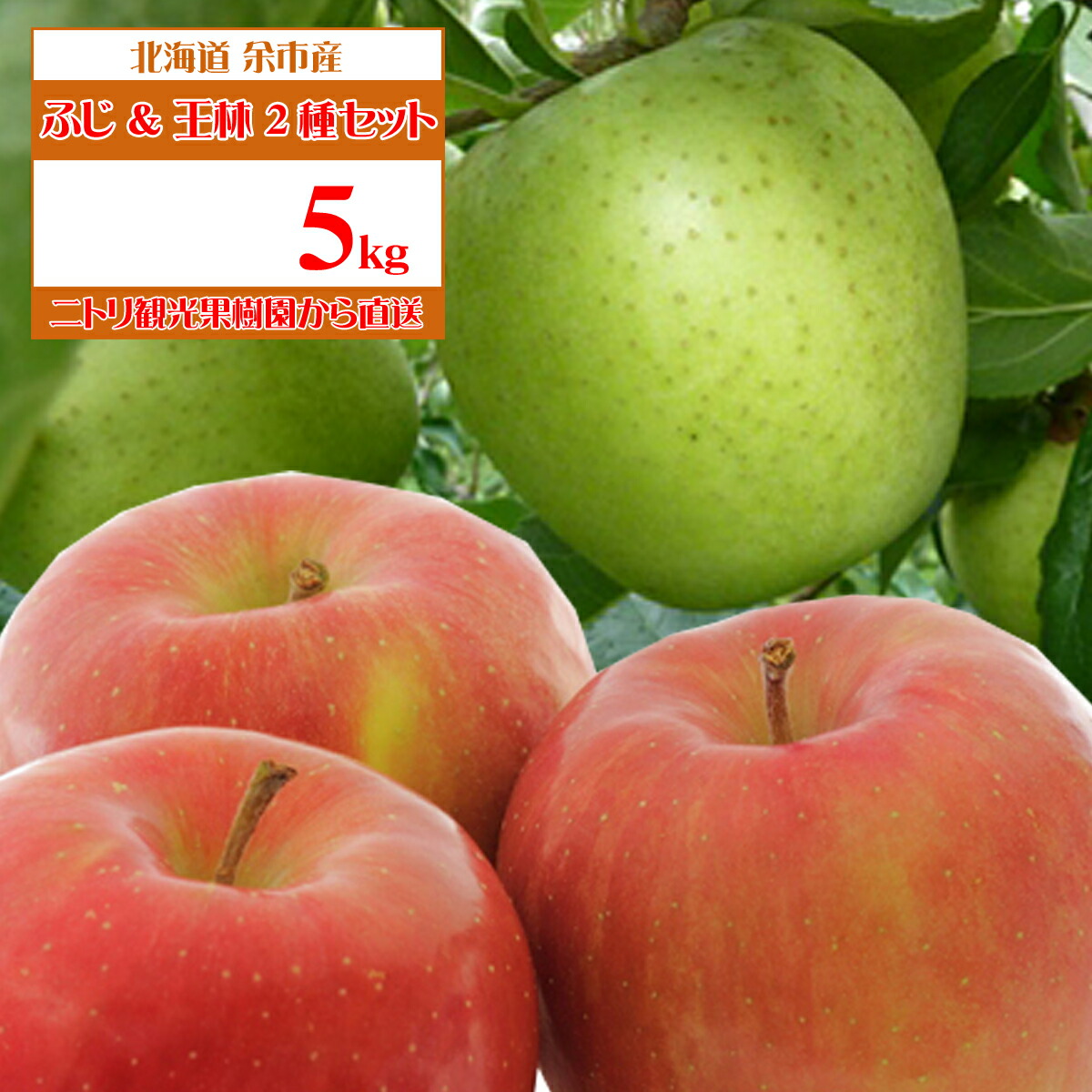 楽天市場】北海道 余市産 りんご【ひめかみ】5kg有機質肥料使用 産地