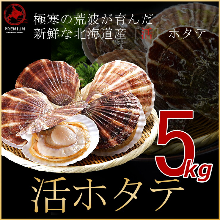 【北海道産】活ホタテ 殻付き たっぷりと5kg！（25〜30枚）　※送料無料【九州・沖縄を除く】獲れたて新鮮！業務用にも北海道 活ほたて 活帆立 ほたて 帆立 ホタテ お刺身 バター焼き 海鮮 ギフト※漁次第での発送となる為、日付指定不可です。