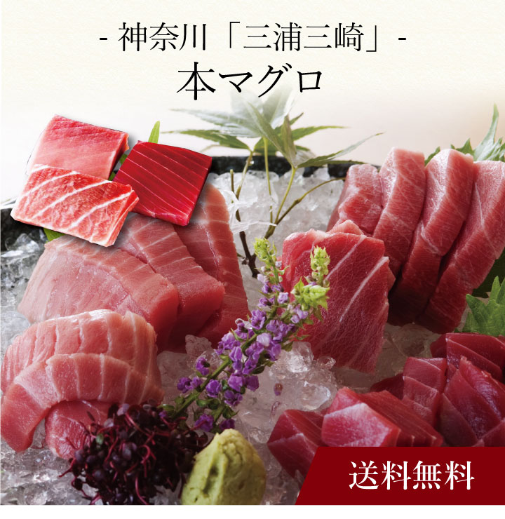 【送料無料】〔 神奈川「三浦三崎」本まぐろ 〕お取り寄せ 送料無料 内祝い 出産内祝い 新築内祝い 快気祝い ギフト 贈り物