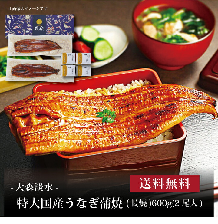 【送料無料】【 大森淡水 特大国産うなぎ蒲焼(長焼)600g(2尾入) 】お取り寄せ 送料無料 内祝い 出産内祝い 新築内祝い 快気祝い ギフト 贈り物