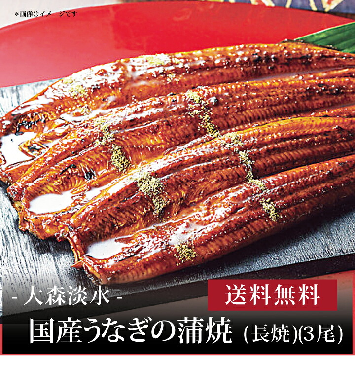 【送料無料】【 大森淡水 国産うなぎの蒲焼(長焼)(3尾) 】お取り寄せ 送料無料 内祝い 出産内祝い 新築内祝い 快気祝い ギフト 贈り物