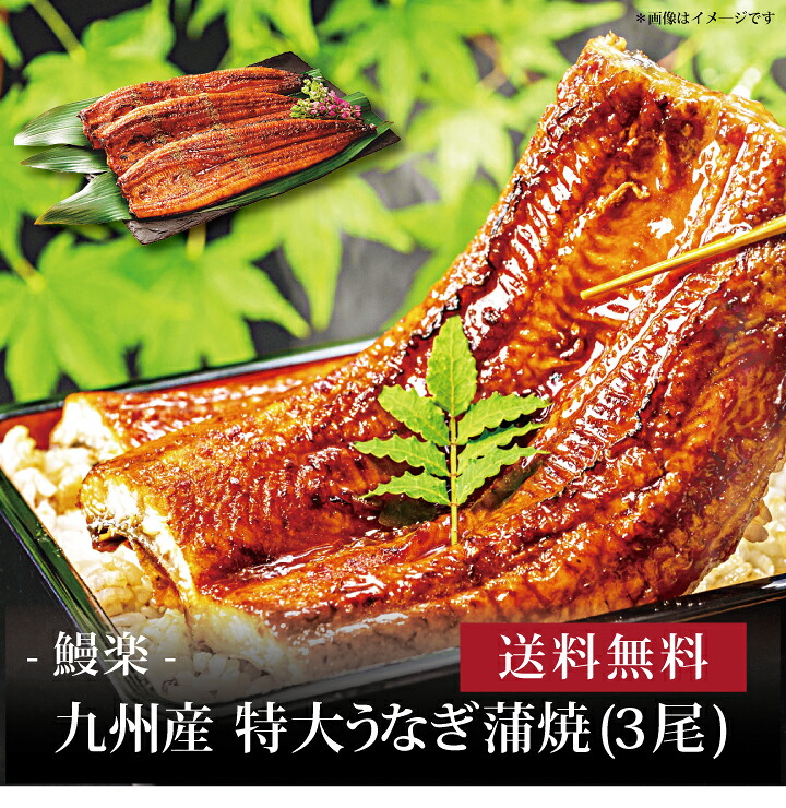 【送料無料】【 鰻楽 九州産 特大うなぎ蒲焼(3尾) 】お取り寄せ 送料無料 内祝い 出産内祝い 新築内祝い 快気祝い ギフト 贈り物|ギフト・贈り物専門店 北海雪月花