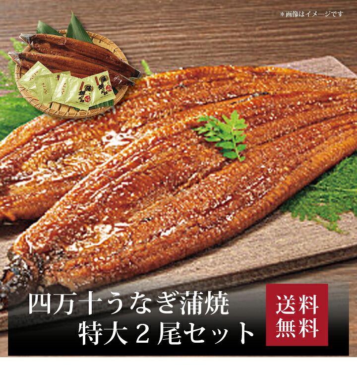 【送料無料】【 四万十うなぎ蒲焼 特大2尾セット 】お取り寄せ 送料無料 内祝い 出産内祝い 新築内祝い 快気祝い ギフト 贈り物｜ギフト・贈り物専門店 北海雪月花