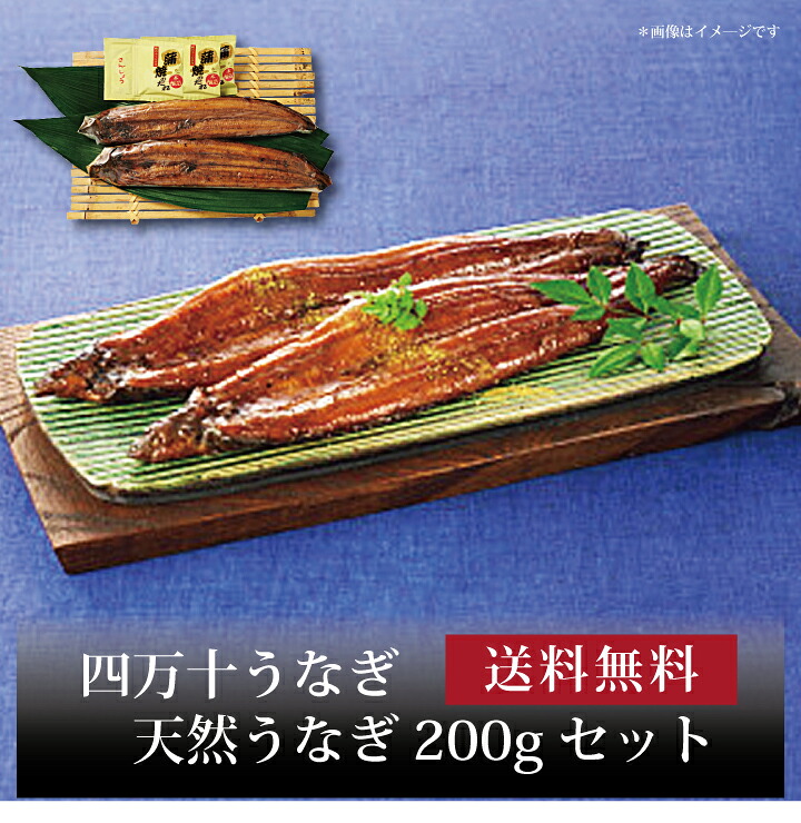 【送料無料】【 四万十うなぎ 天然うなぎ200gセット 】お取り寄せ 送料無料 内祝い 出産内祝い 新築内祝い 快気祝い ギフト 贈り物|ギフト・贈り物専門店 北海雪月花