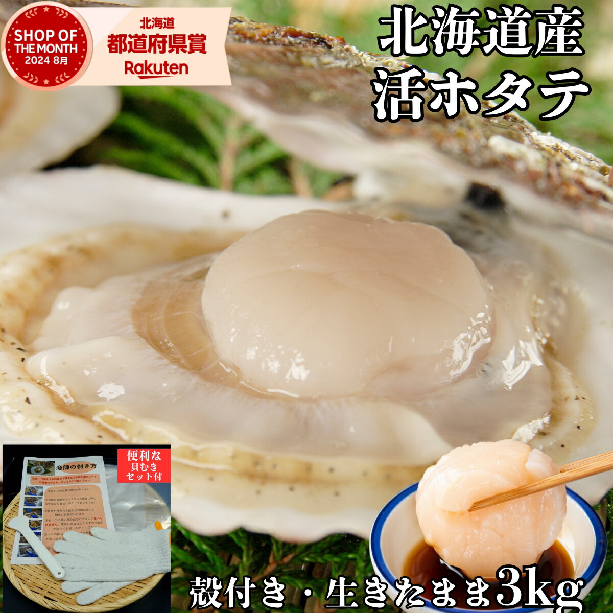 貝付き  殻付きホタテ 活ホタテ 3Kg 生きたまま 北海道 オホーツク海産 ホタテ 帆立 殻付き バーベキュー 剥きヘラ付 ホタテ殻付き ホタテ刺身 紋別 海産物 生きたまま 生ホタテ ギフト ホタテ紋別 紋別ホタテ