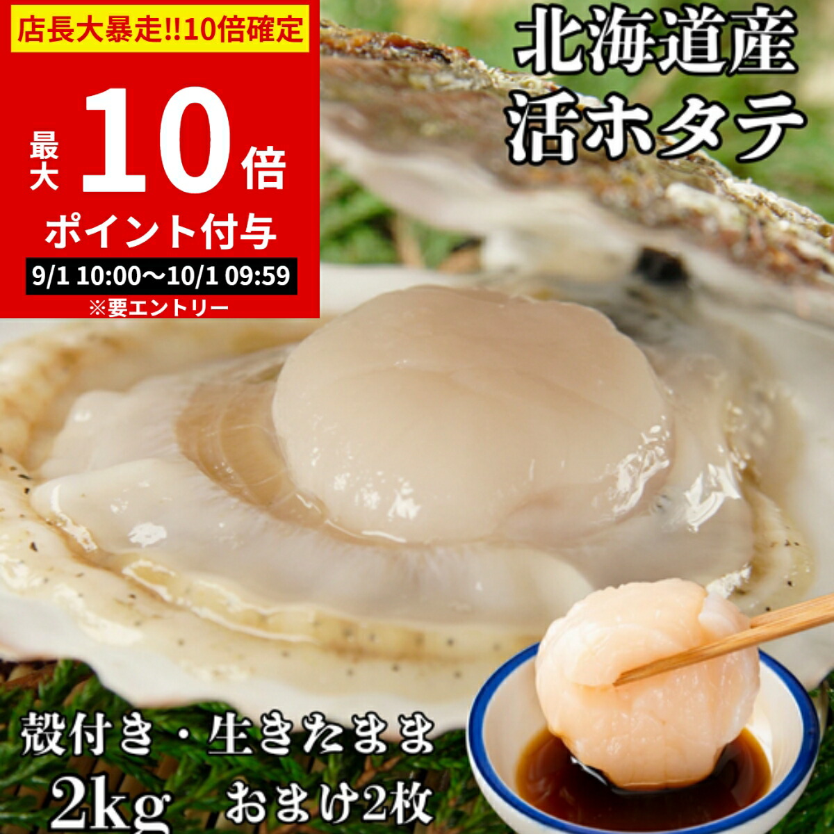 食品サンプル〔まいづる〕　貝殻付き生ホタテ ほたて 片貝 10枚 Lサイズ 生食可 北海道産 ホタテ 帆立 刺身 殻