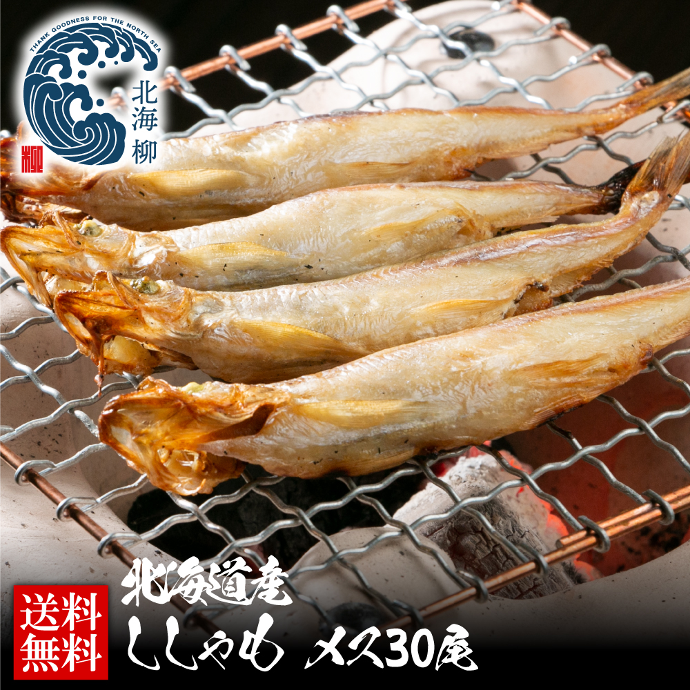 ししゃももページ 楽天市場】北海道 本ししゃも 一夜干し 400g 本ししゃも メス40