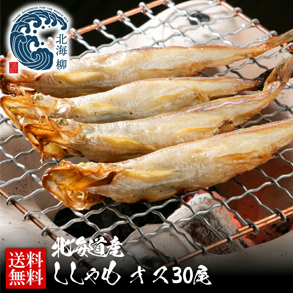 ギフト 北海道産本ししゃも【オス】 送料無料 本ししゃも30尾 北海道産本物のシシャモです 干物 WEB限定｜北海柳　店
