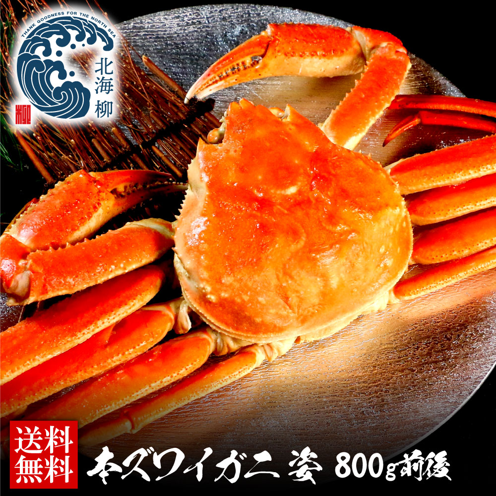 父の日ギフト カニ かに 蟹 ズワイガニ 特大 800g前後 ずわいがに 姿 ズワイ ズワイ蟹 送料無料 ズワイガニ姿 WEB限定
