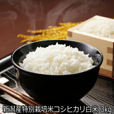 【楽天市場】令和6年産 新潟産特別栽培米こしひかり 白米 5kg 【精米済】食味Sランク 農薬節減（7割減） 有機肥料栽培米・残留農薬ゼロ（検査済）  5kgクラフト米袋で発送 送料無料 新米 コシヒカリ 一等米 ［ 白米 お取り寄せ］ : お米の専門店 穂っかりもち