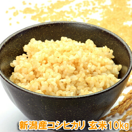 令和6年産 新潟産 コシヒカリ 玄米 10kg 送料無料　10kgクラフト米袋で発送　食味Aランク 一等米 栽培期間中の化学農薬はほぼ不使用　農薬節減（7割減） 有機肥料栽培米・残留農薬ゼロ（検査済）【産地直送】新潟玄米