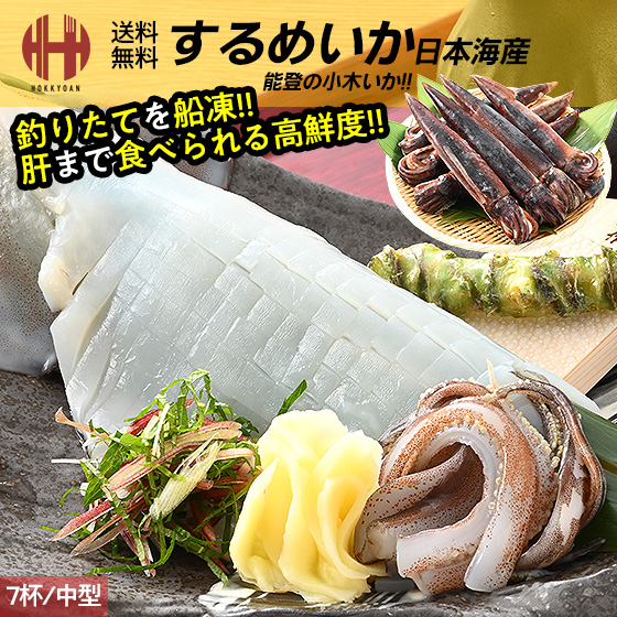 ＼全品ポイント2倍！／ するめいか スルメイカ 冷凍 刺身 いか イカ 7杯 中型 約1.5kg前後 日本海産 ギフト