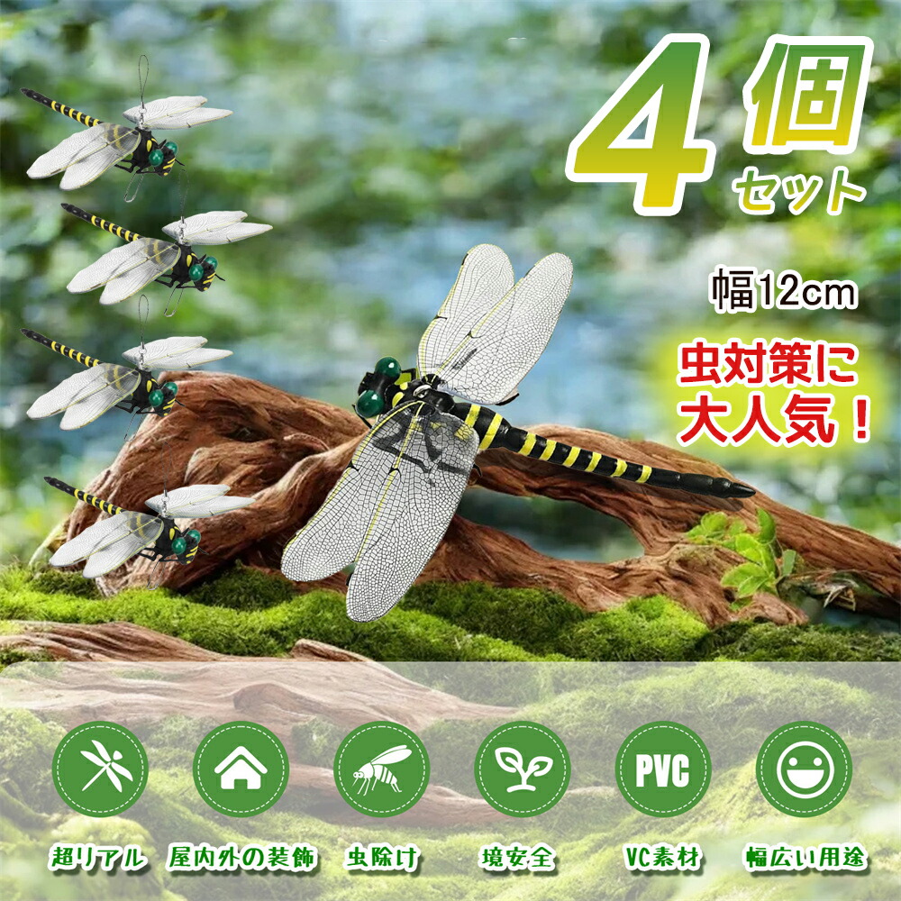 Tom　銅版画手彩色　昆虫　トンボ　フレーム付 sora21602.jpg