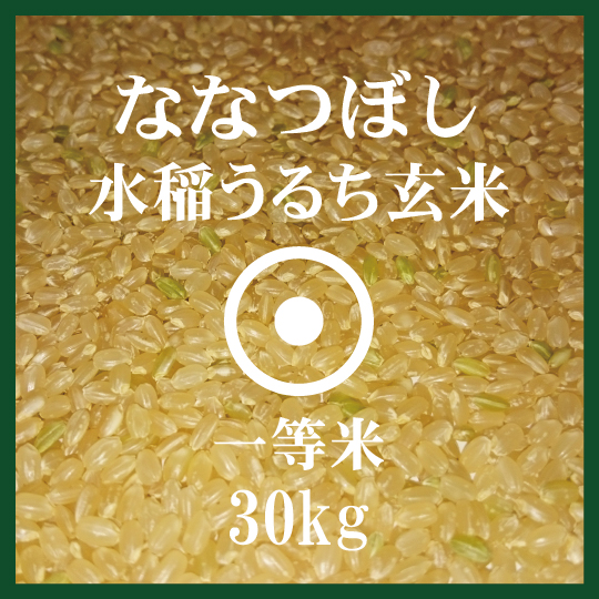 【楽天市場】ななつぼし 玄米 30Kg 1等米 北海道米 30年産 食味ランキング 特A受賞：ほくべい