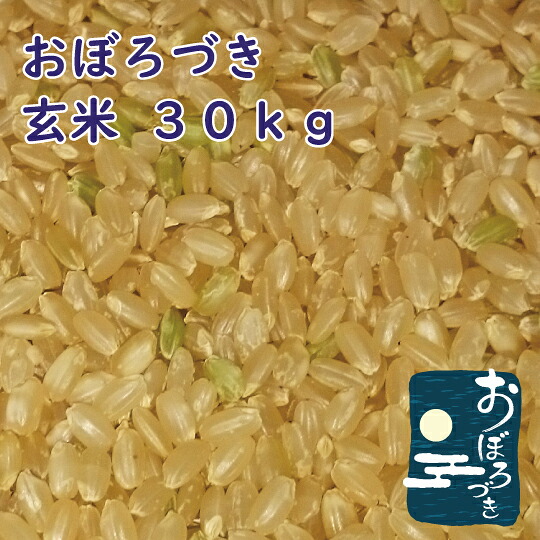 北海道産 おぼろづき 玄米 30kg 令和7年産 一等米 低アミロース米 おぼろづき米 [重量商品につき送料無料対象外] 16,425円
