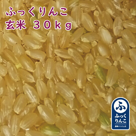 北海道産 ふっくりんこ 玄米 30kg 令和7年産 1等米 北海道米 [重量商品につき送料無料対象外]
