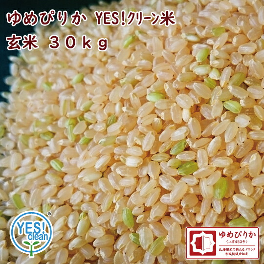 YES!クリーン米 ゆめぴりか 玄米 30kg 令和7年産 一等米 北海道産 ゆめぴりか 第一区分 イエスクリーン (YES！clean) 農協米 [重量商品につき送料無料対象外]｜ほくべい 15,840円