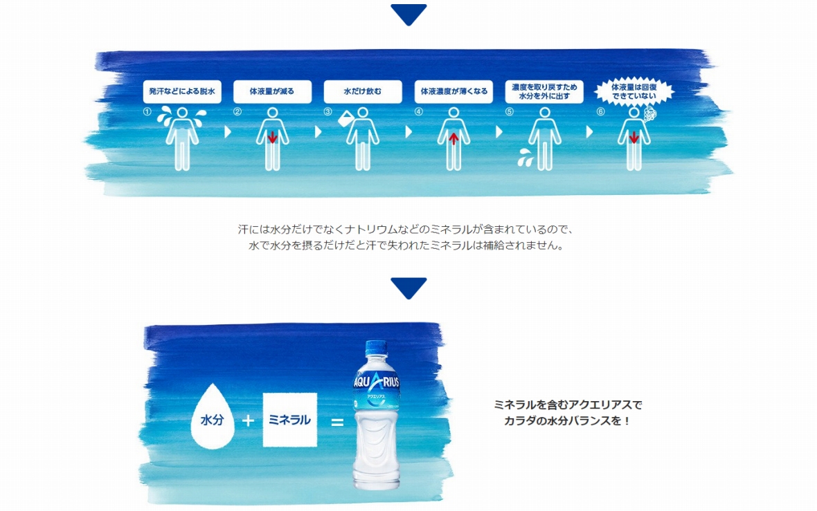 楽天市場 アクエリアス 500mlpet 24本 2箱 コカ コーラ Cocacola 送料無料 沖縄 離島を除く ほくべい