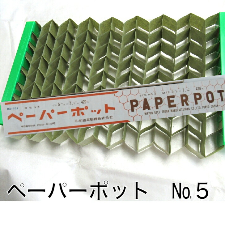 市場 ニッテン 5×7.5 ペーパーポット ５号