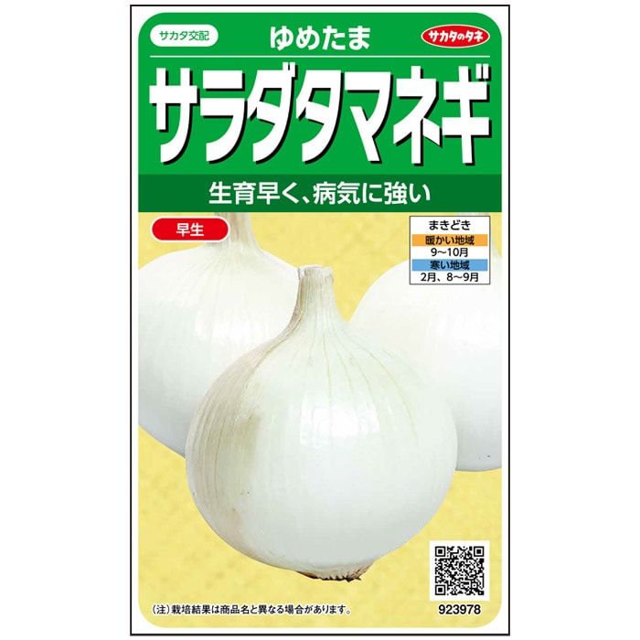 楽天市場】サラダタマネギ苗(サラダ玉ねぎ苗) 200本 : 千草園芸