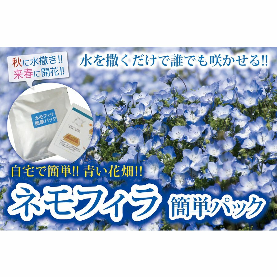 送料無料 ネモフィラ 簡単パック 水をやるだけ かんたん 花が咲く ガーデニング 青い花 春 秋 花のタネ 水をやるだけ画像