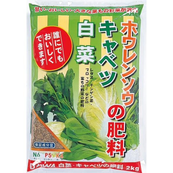 肥料　白菜キャベツ　ホウレンソウの肥料　大和　2ｋｇ×10個