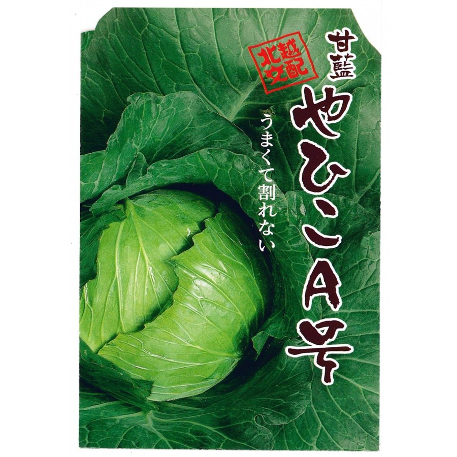 楽天市場 北越交配 キャベツ やひこa号 ml 野菜タネ 北越農事 野菜種子 野菜のタネ 甘藍 北越農事 楽天市場店
