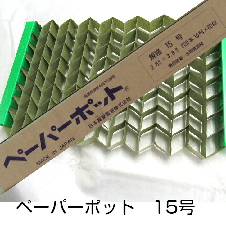 ねぎ出品 compass1634536726.jpg