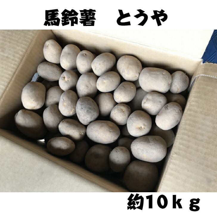 楽天市場】種芋 じゃがいも 十勝こがね 約10kg 馬鈴薯 タネイモ とかち