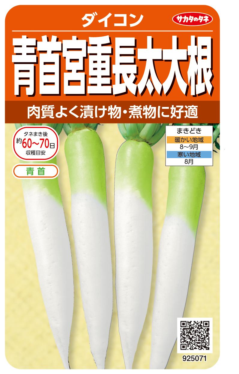 【楽天市場】サカタのタネ ダイコン 青首宮重長太大根 約400粒 実咲野菜タネ 根菜 種子:北越農事 楽天市場店