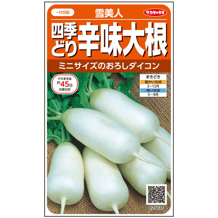 【楽天市場】サカタのタネ 一代交配 四季どり辛味大根 雪美人 3ml 実咲野菜タネ 根菜 種子 ダイコン:北越農事 楽天市場店