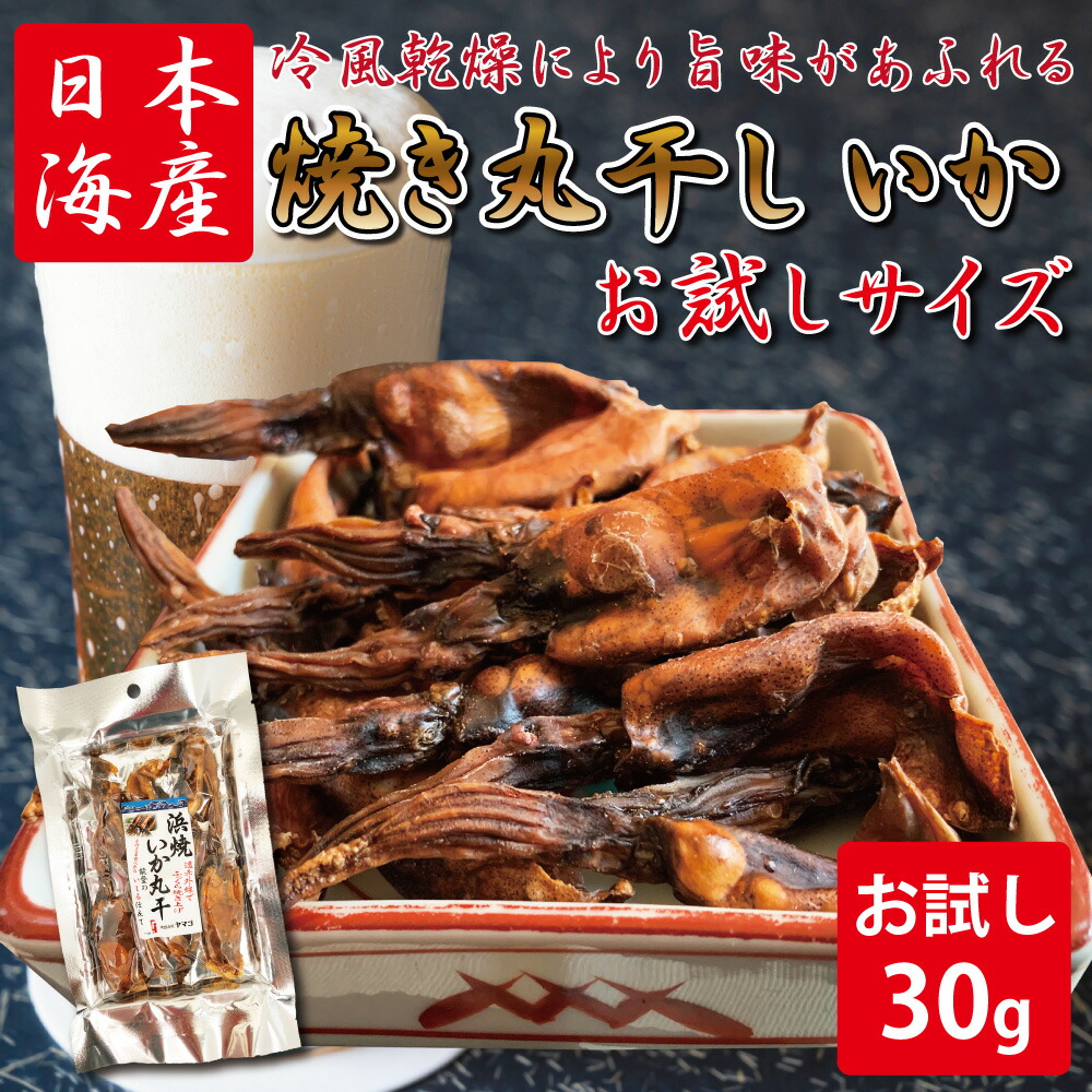 送料無料 おつまみ 珍味 焼き丸干いか イカ 肝入り 干物 お試しサイズ 30g