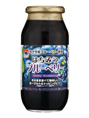 【Ｍ】サクラ印 はちみつブルーベリー 650g ６本（１ケース） 【加藤美蜂園】 宅配100サイズ
